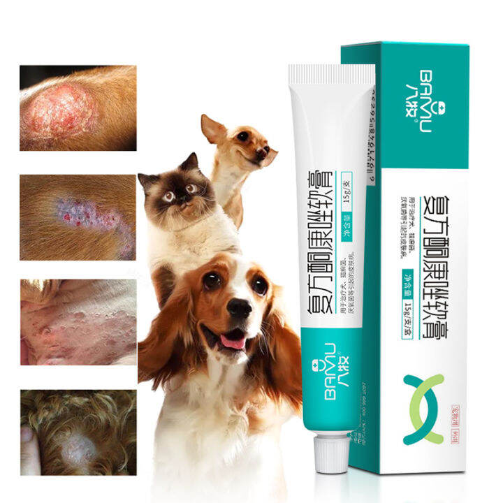 Ketoconazole Antifungal Cream Mange Treatment For Dogs Antibiotic