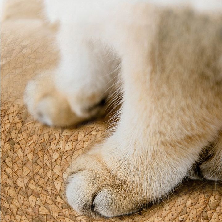 ตะกร้าแมวนอน-บ้านแมว-ตะกร้าหวาย-นอนสุดสบาย-ผลิตจากวัสดุธรรมชาติ100-ที่นอนสัตว์เลี้ยง-ที่นอนแมว-ที่นอนหมา