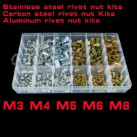 Mur Paku Keling Berkepala Datar M3 M4 M5 M6 M8 M10 Baja Tahan Karat Baut Paku Keling Berlapis Seng Kit Nutsert Masukan Aluminium