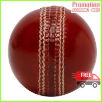 CRICKET LEATHER BALL