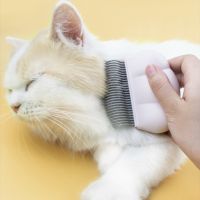 Cute Pet Hair Remover Shell Shape Large Dog Fleas Cat Dog Hair Comb Beauty Hair Brush Cleaning Grooming Care Accessories