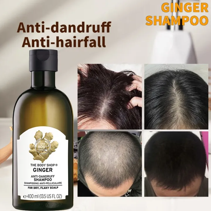 hampoo and conditioner ✹British anti dandruff shampoo anti hairfall shampoo  ginger essential oil Ginger shampoo 400ML✦ | Lazada PH