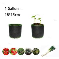 1 Gallon Fruit Plant Grow Bags Vegetables Planter Tree Pots Home Supplies Fabric Planting Garden Tools Growing YB1TH