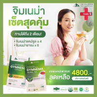 Gymnema Tea &amp; Capsule เซ็ต 2 เดือน แคปซูล 4 + ชาชง 6 (จิมเนม่าชาชง และแคปซูล แพคคู่) ผลิตภัณฑ์เสริมอาหารผักเชียงดา (ตราอินทนนท์ เฮอเบิล)