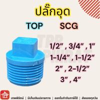 ปลั๊กอุด ปลั๊กอุดเกลียวนอก ปลั๊กอุดPVC ปลั๊กอุดพีวีซี PVC 1/2 3/4 1 1-1/4 1-1/2 2 4หุน 6หุน 1นิ้ว นิ้ว2 นิ้วครึ่ง 2นิ้ว