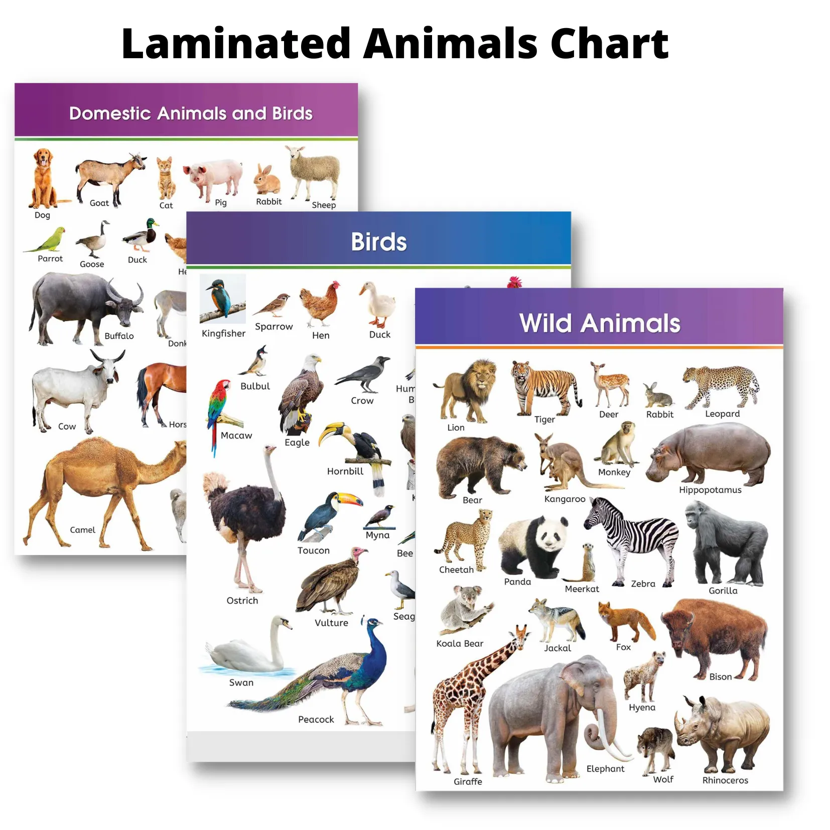 Laminated Animal Charts for Kids and Learners, Farm Animals, Domestic  Animals, Sea Animals, Wild Animals | Lazada PH