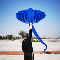 free shipping 6m large elephant kite nylon ripstop outdoor toys flying bird kites adults octopus kite windsocks dragon factory