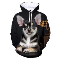 Animal Dog Chihuahua 3D Printed Hoodie Men Ladies Casual Hoodie Pullover Harajuku Fashion Streetwear y2k Clothing Hoodies Tops