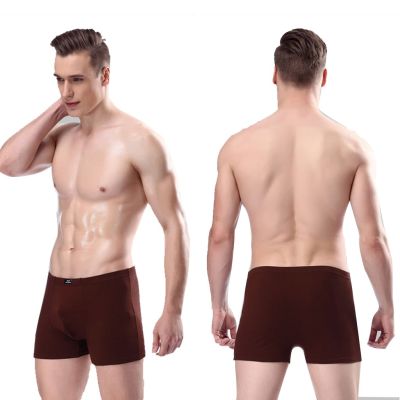 Buy 2 get 1 freeMen ers Brief Modal Cotton Comfortable Panties Youth Underwear