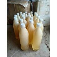 Mật ong trắng rừng tự nhiên NGUYÊN CHẤT từ vùng núi Mù Cang Chải