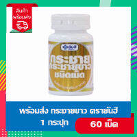 พร้อมส่ง กระชายขาว (โรงพยาบาลยันฮี) 1 กระปุก 60 เม็ด