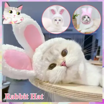 Cat Headgear Cute Pet Dog Cat Caps Rabbit Ears Hats For Cats Kids Bunny  Cosplay Props Bunny Ears Pet Headdress Cat Accessories - AliExpress