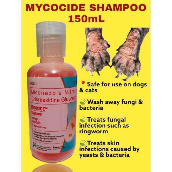 Mycocide Shampoo 150mL medicated shampoo for dogs Cats horse etc