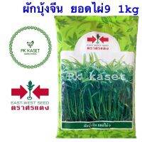 ✸เมล็ดผักบุ้ง ยอดไผ่ 1 kg ผักบุ้ง ศรแดง ใบเรียวเล็ก สีเขียวสด ลำต้นตรง ไม่แตกแขนง ของใหม่♛