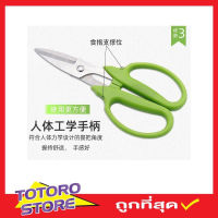 กรรไกรตัดกิ่ง กรรไกรแต่งกิ่ง กรรไกรแต่งพุ่ม กรรไกรแต่งสวน กรรไกรตัดหญ้า Stainless steel scissors กรรไกรตัดตกแต่งกิ่งไม้ กรรไกรตัดกิ่งไม้