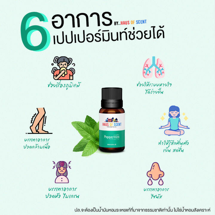 1-แถม-1-น้ำมันหอมระเหย-essential-oil-กลิ่น-เปปเปอร์มินต์-peppermint-ขนาด-10-ml-30-ml-น้ำหอมใส่เครื่องพ่น-น้ำหอมในบ้าน-น้ำหอมเตาอโรม่า-haus-of-scent