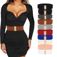 Women Elastic Band Wide Belts Fashion Evening dress Down Coat Waist Belt Female Buckle Black Strap Dress Decoration Accessories Belts