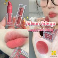 CLM ลิปแมท ลิปหมุน เนื้อกำมะหยี่ สีสวย ติดทนนาน เนื้อแมตต์  lipstick