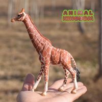 Animal Kingdom - โมเดล Giraffe ยีราฟ ขนาด 17.00 CM (จากสงขลา)