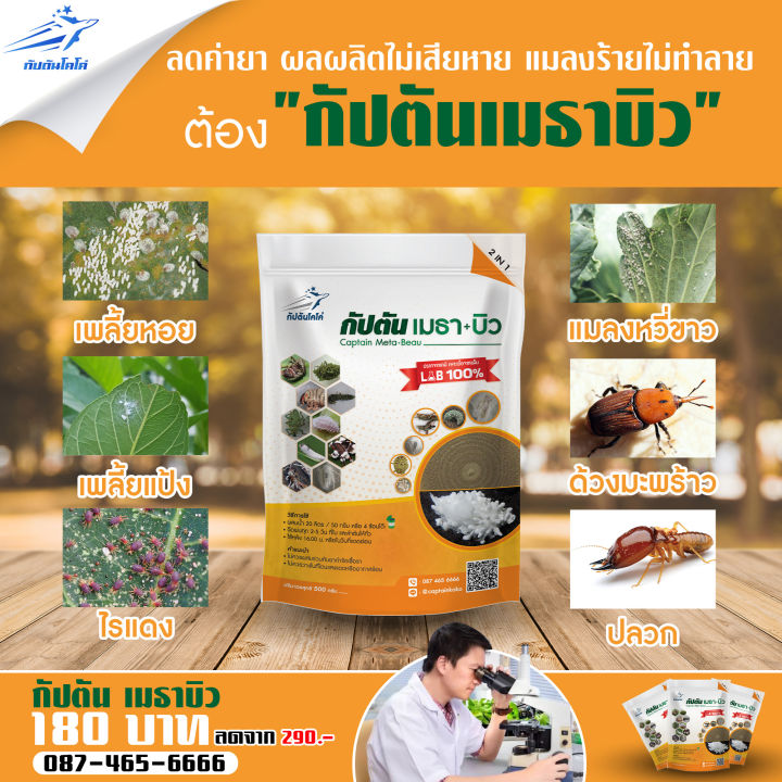 ของเเท้100-ยากำจัดแมลง-500-100-กรัม-บิวเวอร์เรีย-เมธาไรเซียม-กัปตันเมธา-บิว-ยาฆ่าแมลง-มีส่วนผสมของสารจับใบ-ปลอดภัย