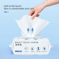 160 Count Flushable Wet ห้องน้ำย่อยสลายได้ทิชชู่เปียกทิชชู่เปียกแบบใช้แล้วทิ้ง Gentle Personal Cleansing Paper