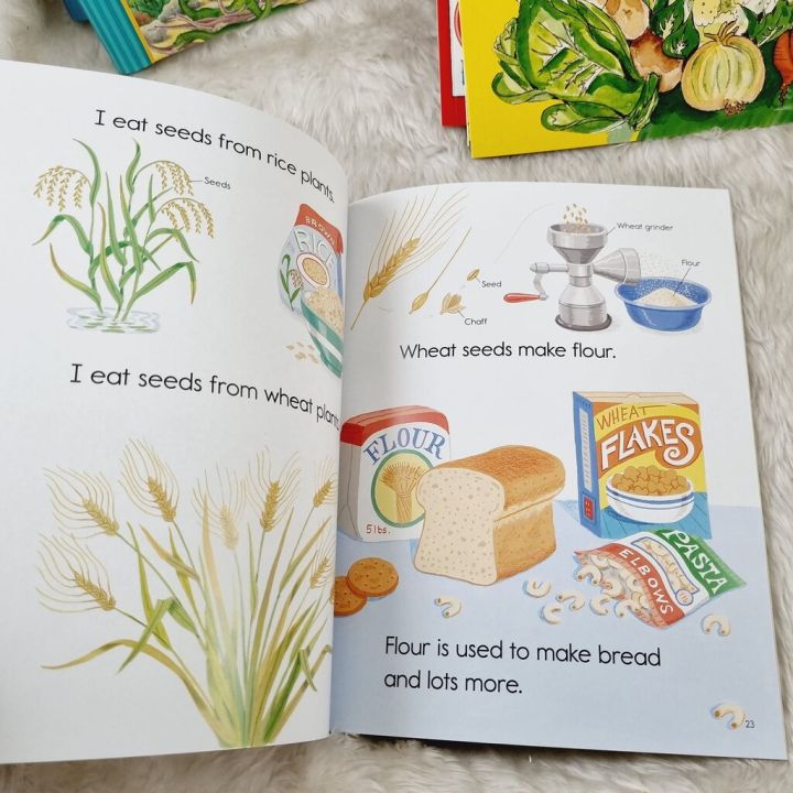 หนังสือ-เด็ก-plants-feed-me-by-lizzy-rockwell-author-ของแท้-rare-ความรู้