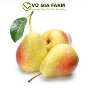 VG FARM Lê Nam Phi 500G 1KG