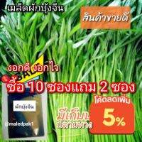 ซื้อ 1 แถม 1，50 เมล็ด (ไม่ใช่พืช)เมล็ดผักสวนครัว เมล็ดผักบุ้งจีน ซองละบ.เมล็ดพันธุ์ ปลูกง่าย