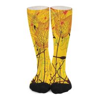 【jw】✐☼  Cajal 2 Socks aesthetic hiphop Men′s sock