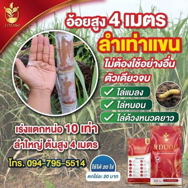 10ดาวduo-สูตรใหม่-3ซอง-หัวเชื้อจุลินทรีย์เข้มข้นสำหรับใบ-บำรุงใบ-เพิ่มผลผลิต-10-ดาว-ดูโอ้-หัวเชื้อจุลินทรีย์เข้มข้นสำหรับใบ