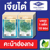 ผักซองเจียไต๋  คะน้าฮ่องกง บรรจุแพ็คล่ะ 10 ซอง ราคา 70 บาท