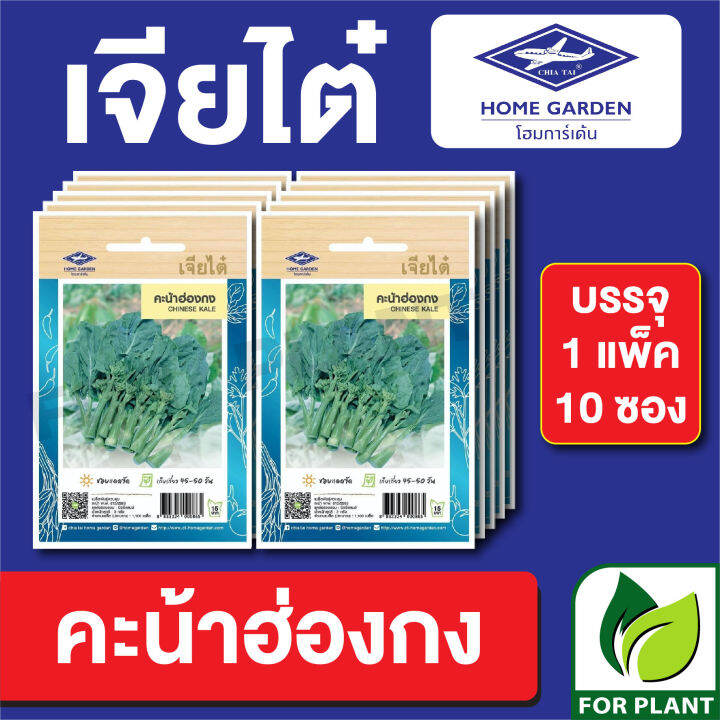 ผักซองเจียไต๋-คะน้าฮ่องกง-บรรจุแพ็คล่ะ-10-ซอง-ราคา-70-บาท