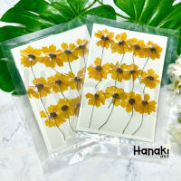 【พร้อมส่ง】ทานตะวันแคระมีก้านทับ ดอกทานตะวัน ดอกไม้จริงทับแห้ง Pressed Flowers?