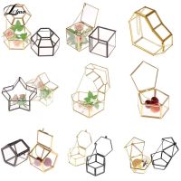 Wedding Wedding Ring Box Storage Box Glass Terrarium Jewelry Box Greenery Glass Ring Bearer Succulent Ring Box For Wedding Glass