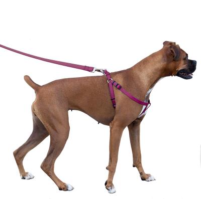 PET HARNESS สายรัดตัวสุนัขแมว &amp; สายจูง สายรัดตัวสุนัข ขนาด 2.5cm สายรัดหน้าอกสุนัข สายรัดสัตว์เลี้ยง สายลากจูงสุนัขปรับ สายจูงสุนัข size 45-60cm