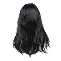 Black Stylish Women Long Straight Wigs Dress Cosplay Costume Party Wig