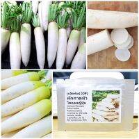 เมล็ดพันธุ์ ผักกาดหัว ไดคอนญี่ปุ่น (Japanese Minowase Daikon Radish Seed) 200 เมล็ด คุณภาพดี ราคาถูก ของแท้