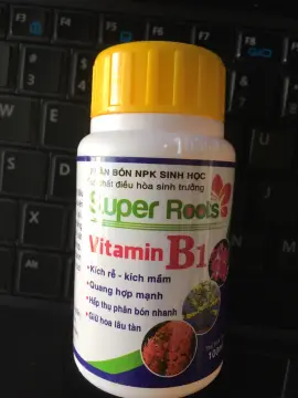 Nơi nào có thể mua được viên nén vitamin B1 100 viên?
