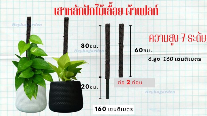 เสาหลักสำหรับปักต้นไม้เลื้อย-ไม้เกาะผ้าเฟลท์-flora-feltท่อ-pvcสีดำ-4หุน-1-2นิ้ว