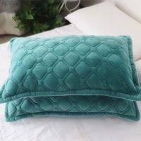 【CW】✵❃✔  Pillowcase Thicken Warm Coral Color Cover 48cmx74cm