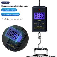 Digital Scale 40kg 10g Mini Travel Electronic Hanging Fishing Luggage Balanca Portable Handy Pocket Weighing Hook Scales Backlit Luggage Scales