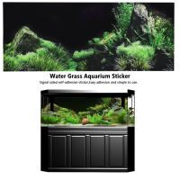 สติ๊กเกอร์ตู้ปลา Water Grass Aquarium แบบไม่สะท้อนแสงสำหรับตู้ปลา Aquaridum