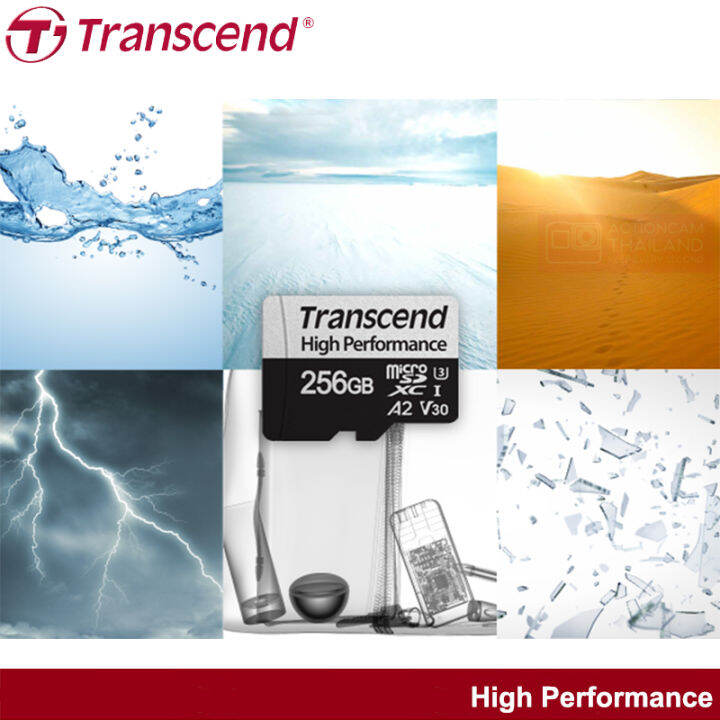 transcend-high-performance-microsd-card-256gb-r-100mb-s-w-85mb-s-เมมโมรี่-สำหรับ-โทรศัพท์-เครื่องเล่นเกมส์-nintendo-รับประกัน-2-ปี-มีใบกำกับภาษี