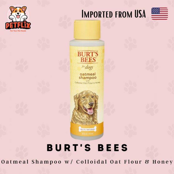 Burt's Bees Natural Oatmeal Shampoo with Colloidal Oat Flour Honey for
