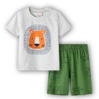 Cartoon Lion Animal Pajamas Toddler Boys Kids Pyjamas Cotton Clothes 01386