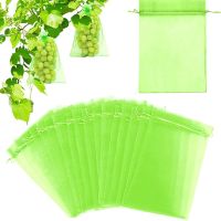 60PCS Grapes Fruit Protection Bags Garden Mesh Bags Agricultural Orchard Pest Control Anti Bird Netting Vegetable Bags