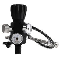 Double Gauge Cylinder Valve 400Bar 6000PSI Air Filling Station Refill Adapter Air Charging Valve with Hose