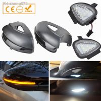 LED Dynamic Turn Signal Light Side Wing Rearview Mirror With Puddle Light For Volkswagen VW GOLF 6 VI MK6 GTI R line R20 Touran