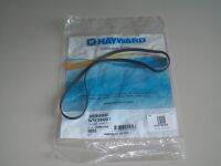 อะไหล่ Hayward SPX3000T ซีลคอ Housing Gasket - สระว่ายน้ำ