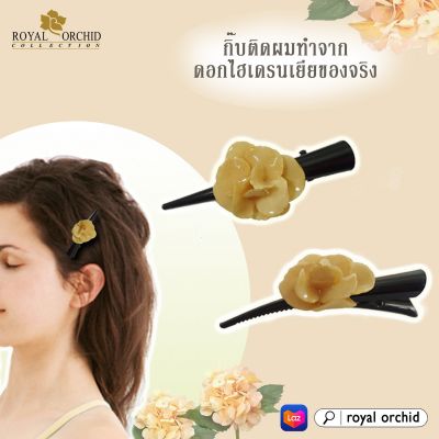 Royal Orchid กิ๊บติดผมดอกไฮเดรนเยียของจริง สีครีม